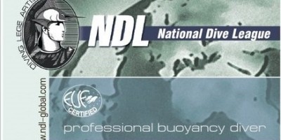 Курс Professional Buoyancy Diver NDL 
