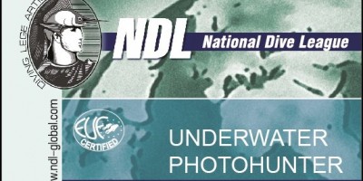 Курс NDL Underwater Photohunter 